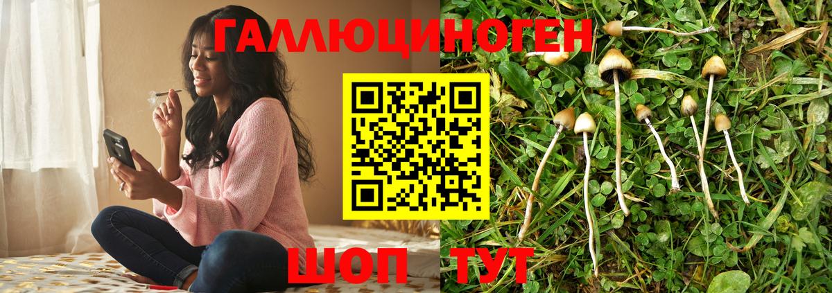 наркотики  Галлюциногенные грибы Magic Shrooms  Вход с VPN  Галлюциногенные грибы MAGIC MUSHROOMS  Рассказово 